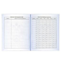 Дневник российского школьника арт. 60148 ТРИАДА НА БЕЛОМ - Феникс+ фото 8