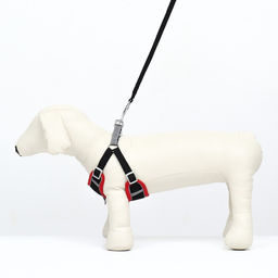 Комплект Sport+, L, поводок 120 х 1,5 см, ОШ 49-56 см, ОГ 56-68 см, вес животного 20-28 кг, чёрный - Пижон фото 2