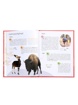 Детская энциклопедия «Красная книга», 48 стр. 7+