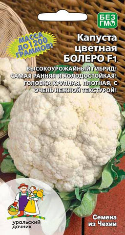 Капуста цветная БОЛЕРО F1  Высокоурожайный гибрид! Самая ранняя и холодостойкая! Головка крупная, плотная, с очень нежной текстурой!
