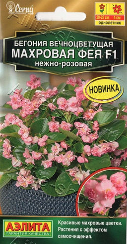 Бегония Фея F1 вечноцветущая махровая нежно-розовая 5шт. (Аэлита)
