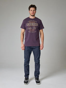 Футболка мужская арт. 02285/Brand - F5 фото 2