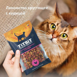 Титбит Хруст. подуш. д/стерил. кош. с индейкой 60 г. 1/25 4690538026434