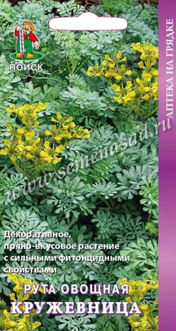 Рута овощная Кружевница (ЦВ) 25 шт