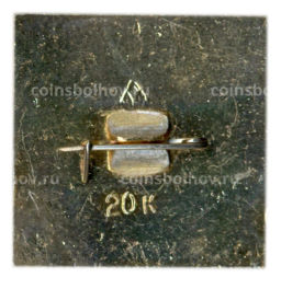 Значок Владимир