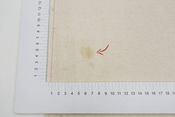 Крапива Рами (Ramie) с хлопком цв.Суровый, СОРТ2, ш.1.4м, крапива-50%, хлопок-50%, 230гр/м.кв - Купава фото 4