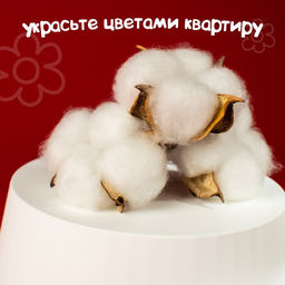 Декор для творчества «Сухие цветы хлопка» на проволоке, 3 шт.