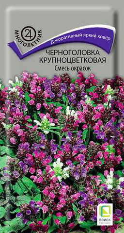 Черноголовка крупноцветковая Смесь окрасок (ЦВ) (М) 25шт.