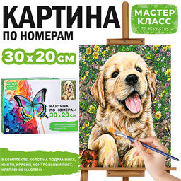Картина по номерам "Забавный щенок"  30х20 см.