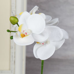 Цветочная композиция Орхидея 30 см / LM-790 /уп 96/ - Галеонтрейд фото 5