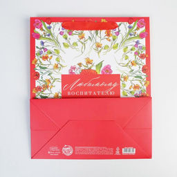 Цена за 2 шт. Пакет подарочный ламинированный, упаковка, «Любимому воспитателю», ML 27×23×11.5 см