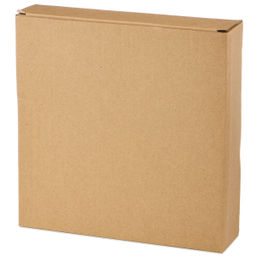 НАБОР ТАРЕЛКОК ЗАКУСОЧНЫХ КОЛЛЕКЦИЯ PINE CONES, 2 ШТ. / 20,7*2,5 СМ - Bronco фото 2