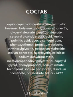 Stellary Удлиняющая тушь для ресниц Wild Black тон 01 черный  фото 8