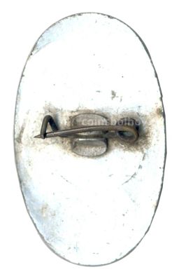 Значок 50 лет ИОТК