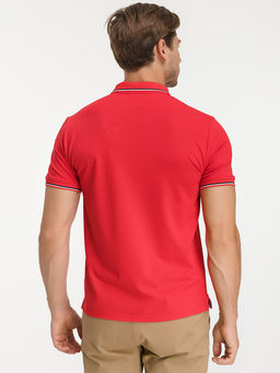 Джемпер мужской с воротником поло короткий рукав GREG G144-TS-3 (красный)  фото 5