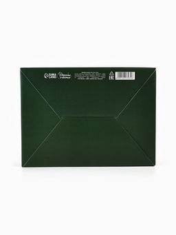 Подарочная коробка, упаковка, С 23 февраля!, 26?19?10 см