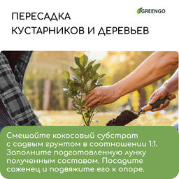 Субстрат кокосовый, универсальный, для террариумов и растений, в брикете, 7 л, Greengo