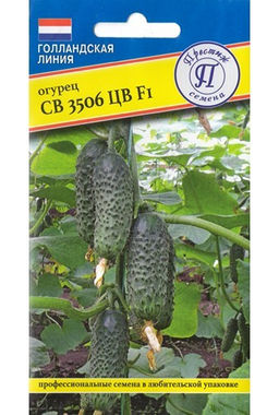 Огурец СВ 3506 ЦВ F1 5шт. (Голландия) (Престиж)
