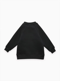 Толстовка футер начёс "Стейн" 30104