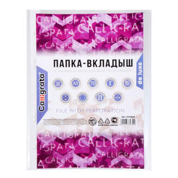 Файл - вкладыш Calligrata, А5, 80 мкм, плотный, глянцевый, вертикальный, 50 штук  фото 3