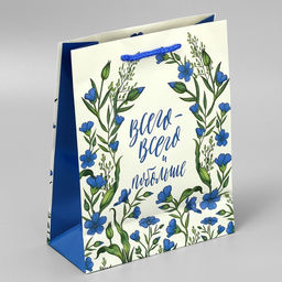 Цена за 2 шт. Пакет подарочный ламинированный, упаковка, «Всего-всего», MS 18 х 23 х 8 см