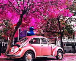 Картина по номерам на холсте и подрамнике 40х50 см