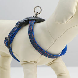 Шлейка многоразмерная регулируемая быстросъемная, ОГ+ОШ 40-70 см, до 15 кг, джинс-синяя - Пижон фото 2