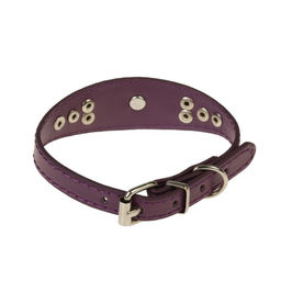 Ошейник-селедка со щенком, 29-32 х 2,5 см, искусственная кожа, фиолетовый - Пижон фото 2