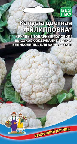 Капуста цветная ФИЛИППОВНА  Крупные товарные головки! Высокое содержание белка! Великолепна для заморозки!
