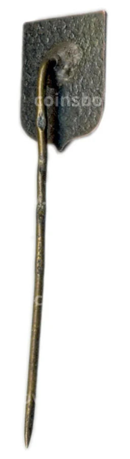 Значок Рига