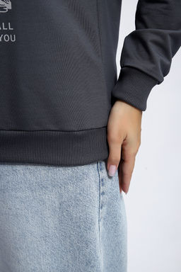 Толстовка 80047