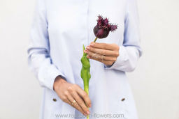 69378a9c62cf78f8b05a77932ba881f63vujt3s22vm4l85fb8