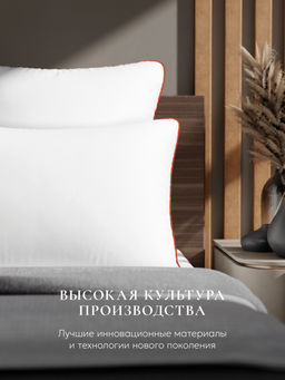 Подушка "ESPERA CLASSIC DEWSPO", 40х60, ЕС-5768