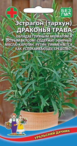 Эстрагон (тархун) ДРАКОНЬЯ ТРАВА  Обладает приятным ароматом и острым вкусом! Содержит эфирные масла, каротин, рутин! Применяется как успокаивающее средство!