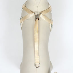 Комплект с мягкой шлейкой Веточки, размер L, поводок 120 х 1,5 см, ОГ 42-76 см, серый - Пижон фото 7