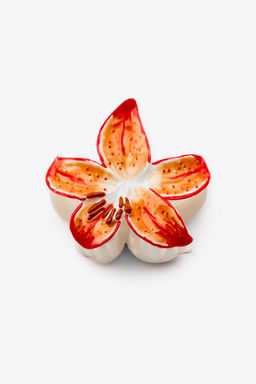 FLOWER SHEEPSKIN CLIP - Zara фото 3