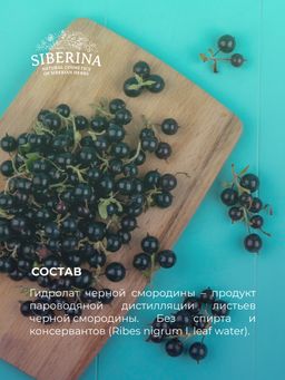 Гидролат чёрной смородины - Siberina фото 12