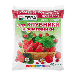 ГЕРА для Клубники гуматизированное 0,5 кг (30 шт) - Ортон фото 2