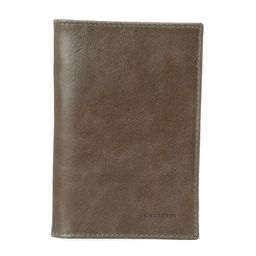 Обложка для паспорта CALZETTI Артикул 2779015, зелено-коричневый