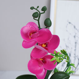 Цветочная композиция Орхидея 24 см / FH467A /уп 24/144/без индивидуальной упаковки - Галеонтрейд фото 24