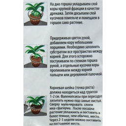 Цена за 2 шт. Набор компонентов Люкс Орхидея, 2.5 л