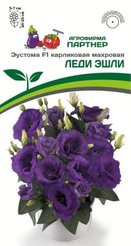 Эустома карликовая махровая лавандово-синяя Леди Эшли