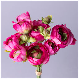 Букет искусственных цветов Lefard Ранункулюс высота 27 см