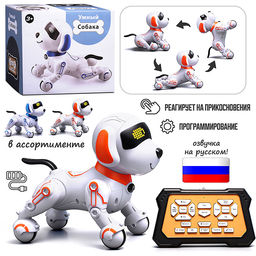 Собака "КиберЛап" в коробке