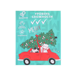 Адвент - календарь новогодний с металлическими головоломками Котики, 5 шт.