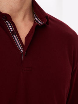 Джемпер мужской с воротником поло GREG G155-PO124T-SA2081 (бордо)_V  фото 2