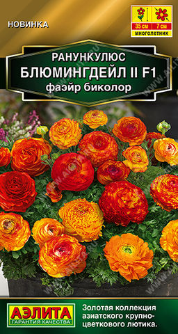 2027A Ранункулюс Блюмингдейл II F1 фаэйр биколор 3шт