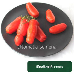 Веселый гном