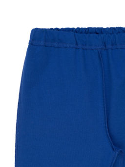 Штанишки детские синие