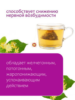 Хит! Липа в пирамидках - Травы горного крыма фото 5